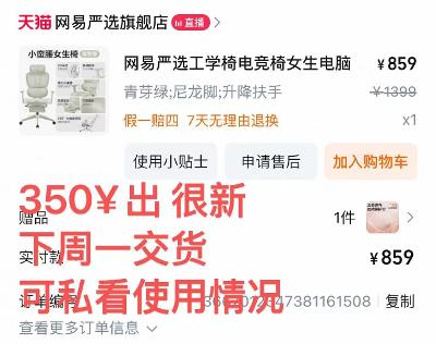 网易严选电竞椅 💰350